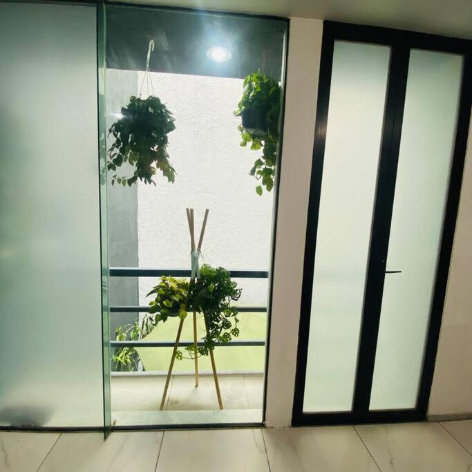 Depa Ubicadisimo Comodo Equipado Apartment Mexico City